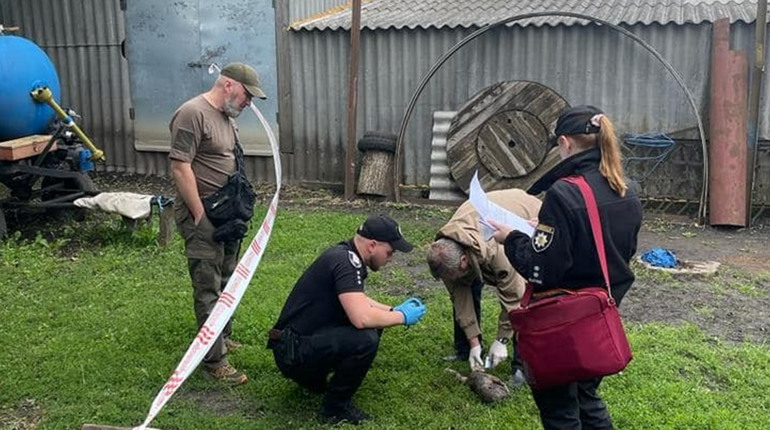 На Сумщині породілля покинула новонароджених двійнят і їх розшматували собаки