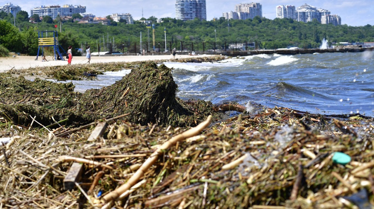 Вода в водоймах Одещині несе загрозу життю: що там знайшли. Не нехтуйте загрозою