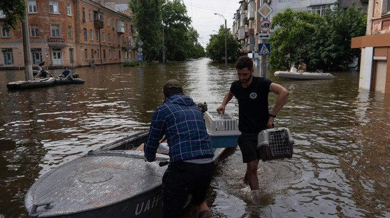 Херсонщина: оперативна інформація в цифрах за станом на 19 червня