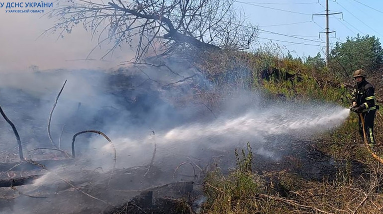Внаслідок обстрілу сталося дві лісові пожежі у Купʼянському районі