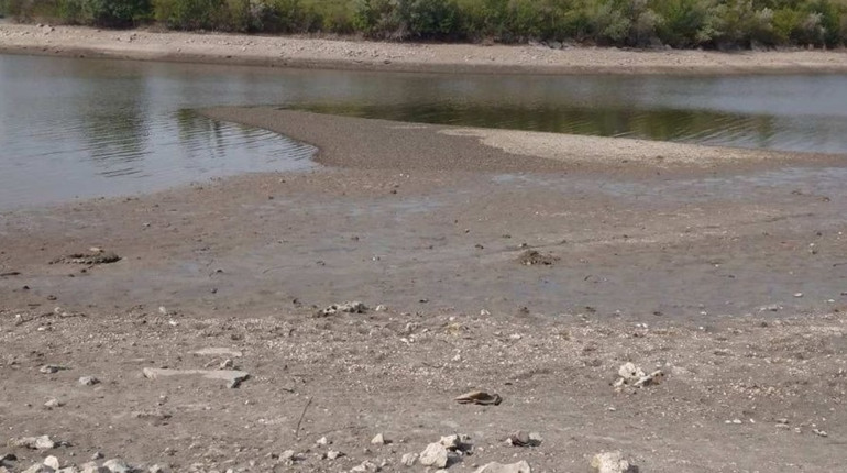 Держекоінспекція Південного округу моніторить стан водойм Херсонщини: мору риби немає
