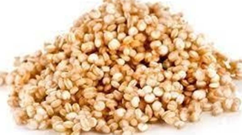 Замінники м'яса: ТОП 7 продуктів з високим вмістом білка