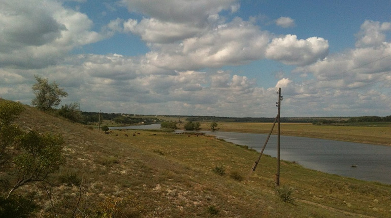 Холерного вібріону у досліджуваних зразках води не виявили: миколаївські медики