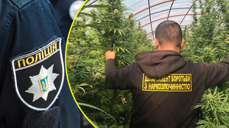 На Переяславщині виявили посів конопель у жінки та підлітків, які вживали наркотики: хроніка поліції
