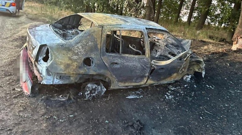 Жахлива аварія на Одещині: автомобіль злетів з дороги в дерево і загорівся. Водія не врятували
