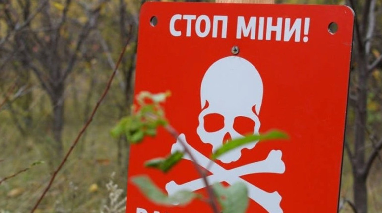 Що потрібно знати при відвідуванні лісу