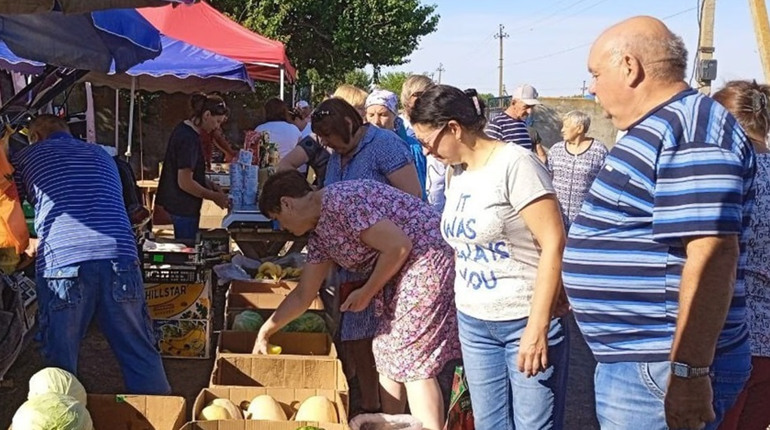 Нижні Сірогози: огляд цін і продукції на ринку “Хортиця”