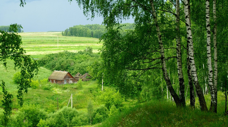 Чернігівська область – рекордсмен зі зникнення сільських поселень