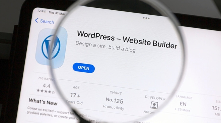 CSM WordPress: переваги та недоліки