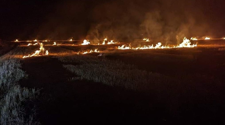 За добу вогонь пройшов 9 гектарів відкритих територій на Миколаївщині: ДСНС