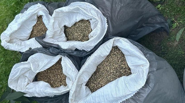 Поліція Чернігівщини розкрила підпільне виробництво тютюнової продукції на мільйони гривень