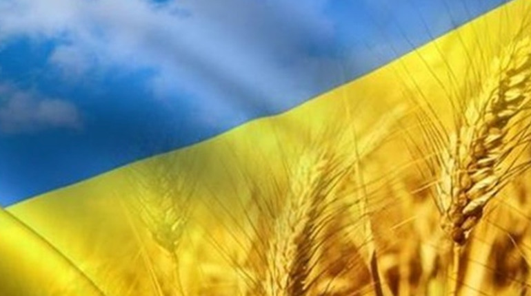 В ЗОВА просить не створювати скупчення людей під час святкування Дня Незалежності