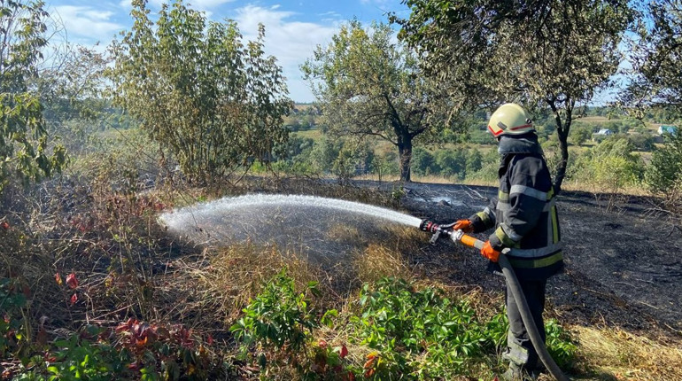 У Великій Снітинці горіла суха трава: з пожежі дістали їжачка