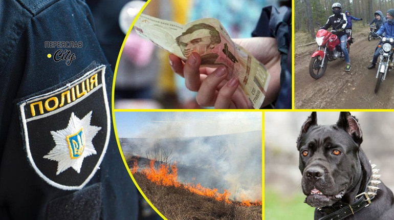 Житель Переяславщини у соцмережах просив гроші на лікування вигаданої хвороби: хроніка поліції
