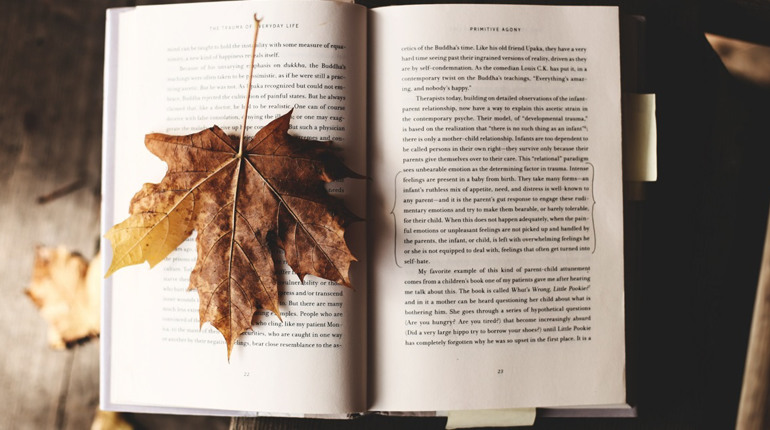 Осінній book-лист для гарного настрою від читацького клубу Звягеля