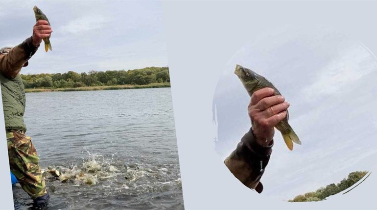 У жовтоводську водойму випустили тонну риби