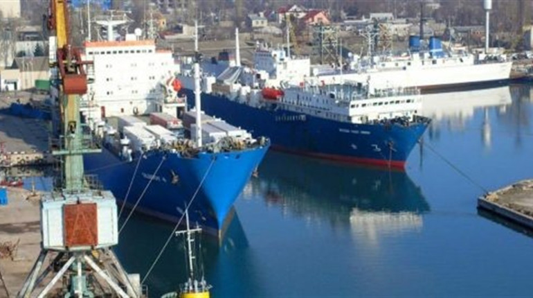 Через порти Скадовська і Криму за рік окупанти вивезли понад 172 тис. т зерна