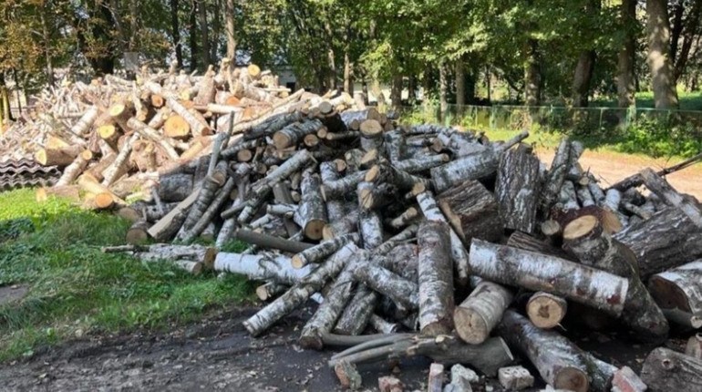 Не знають, чим тепер опалювати навчальні заклади: у школи Меденицької громади завезли не ті дрова