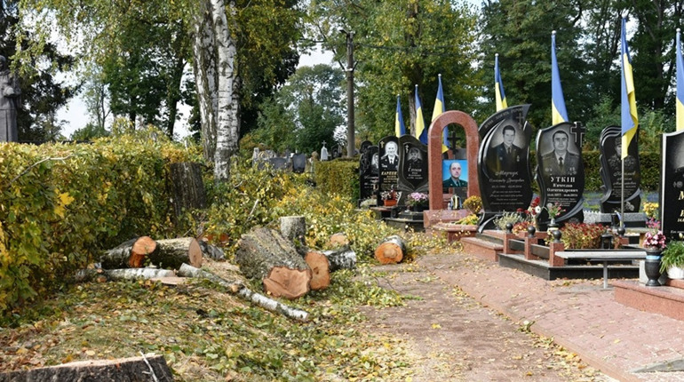 На центральному кладовищі у Звягелі розпочали вирубування аварійних дерев