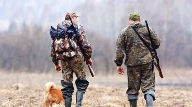 У листопаді на Полтавщині планують масовий відстріл лисиць