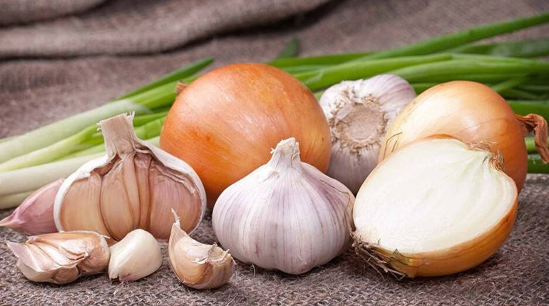 Коли садити озимі часник та цибулю: сприятливі дні та поради