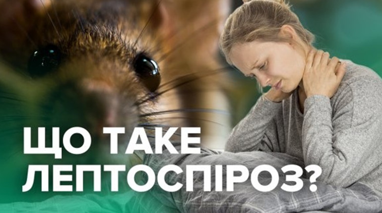 На Чернігівщині на лептоспіроз захворіла 1-річна дитина. Найбільше хворих - у Ніжинському районі