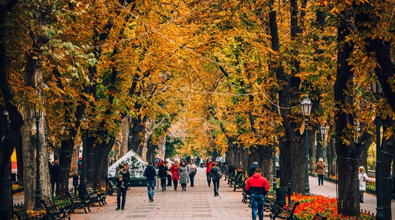 На концерт при свічках чи благодійний стендап? Куди сходити в Одесі у листопаді: календар заходів