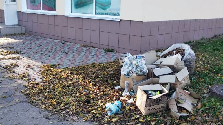 Впорядкувати Мену. Які плани має нова інспекторка з благоустрою