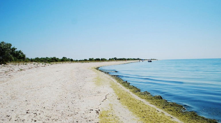 Від берегу моря у Скадовську відійшла вода. Що сталося