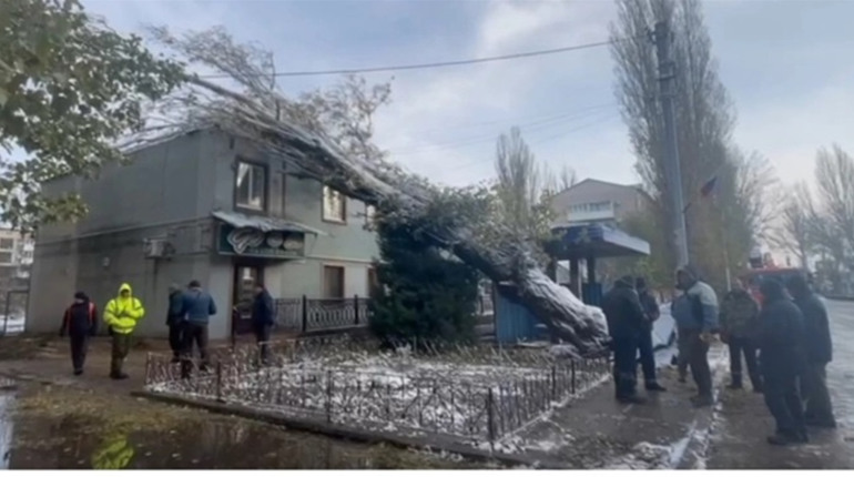 Повалені дерева, знеструмлене місто. Наслідки негоди у Скадовську
