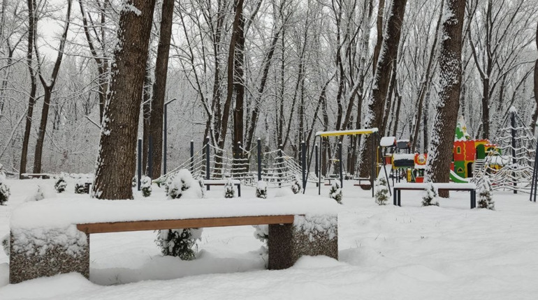Чим пахне місто солі: підбірка запахів у 5 локаціях Дрогобича