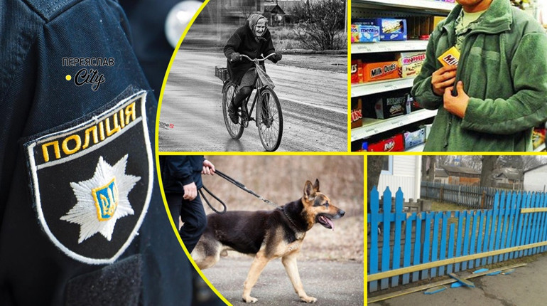 У Циблях вигулюють собаку великої породи без повідка та намордника: хроніка поліції за вихідні
