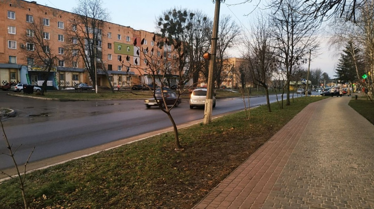 У перший тиждень нового року синоптики прогнозують сніг та зниження денної температури