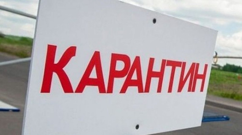 Випадок сказу у Гадячі: карантинні обмеження у місті, загроза для сіл на території ще двох громад