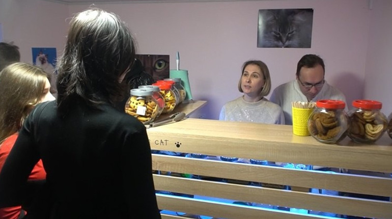 ”Прихистили тварин з прифронтових територій”. У Запоріжжі відкрилося котокафе