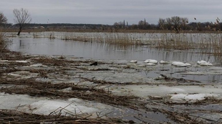 Вода суне на місто. На Луганщині окупанти відмовляються відкачувати воду з підтоплених територій