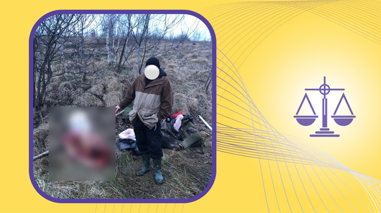 Одного з браконьєрів можуть засудити на 3 роки за вбитого червонокнижного лося на Дрогобиччині