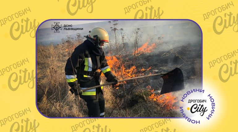 7 дрогобичанинам виписали штраф за підпал сухої трави: скільки заплатять порушники