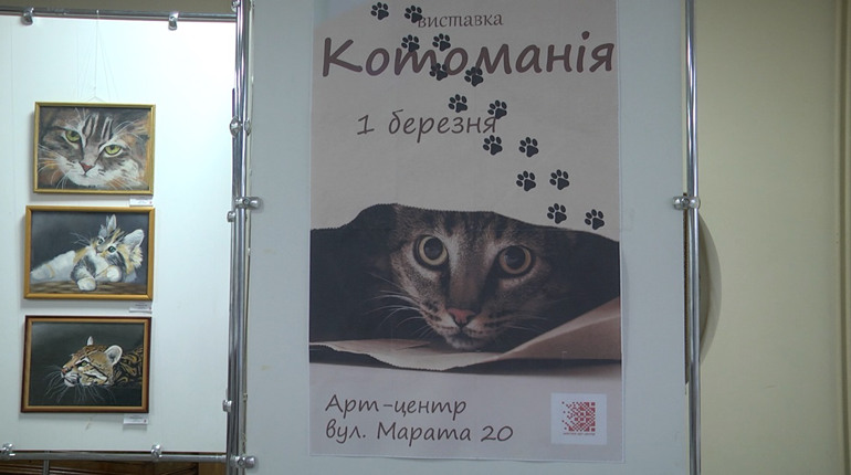 У Шостці відзначили Міжнародний день котів