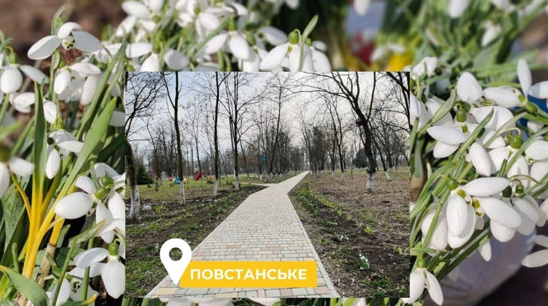 У Повстанському з'являється алея підсніжників. Це ідея мешканців, її можна підтримати квітами
