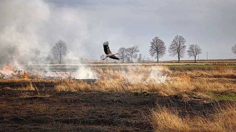 УВАГА! ПІДВИЩЕНО РОЗМІРИ ШТРАФІВ ЗА ВИПАЛЮВАННЯ РОСЛИННОСТІ ТА ЇЇ ЗАЛИШКІВ