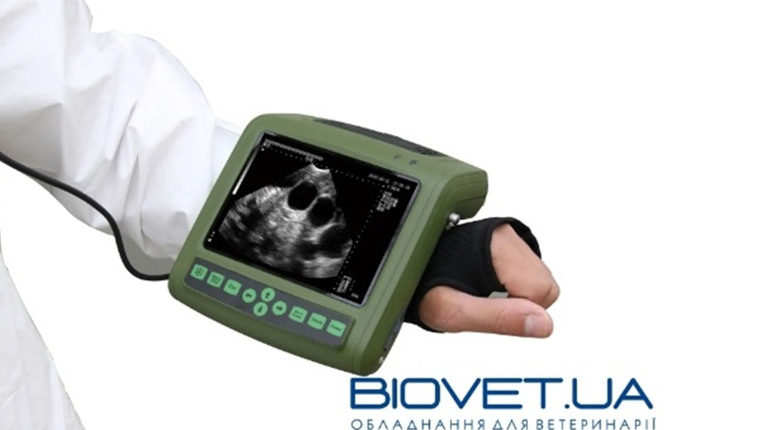 Ремонт УЗД сканерів та датчиків для ветеринарії від компанії Biovet