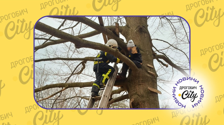 У Стебнику діти викликали рятувальників на допомогу подружці: дівчина не могла злізти з дерева