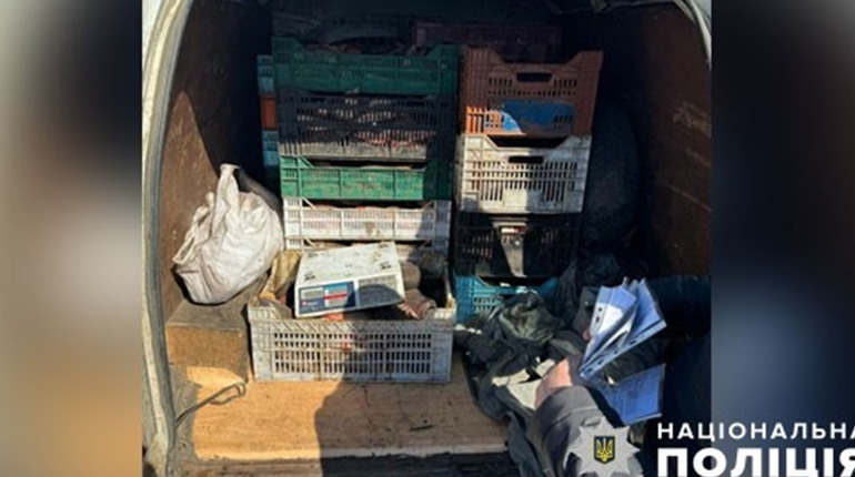 На Полтавщині затримали водія, який незаконно перевозив понад 300 кілограмів риби в авто