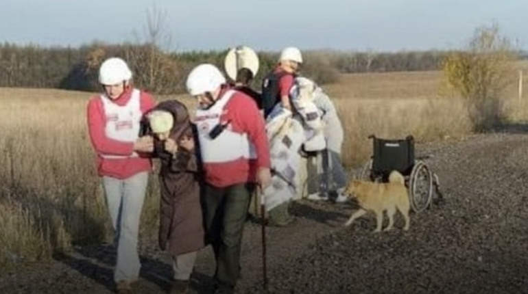 Для переходу через Колотилівку — Покровку тепер потрібні документи на тварин