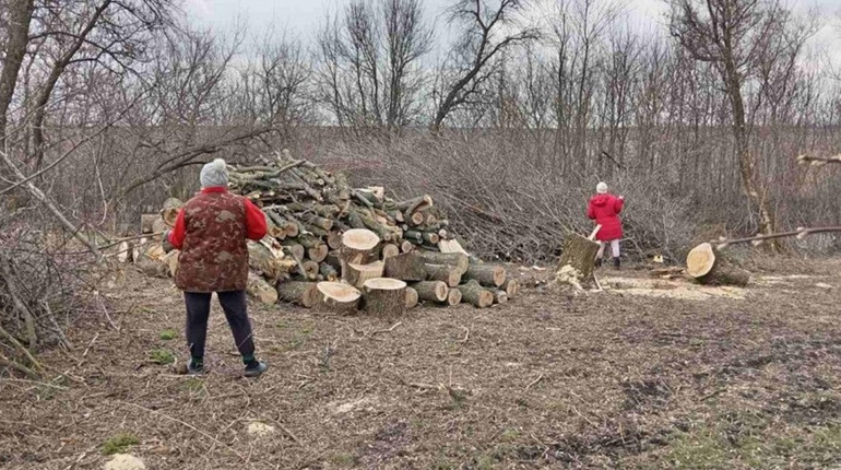 Залучення безробітних до суспільно-корисних робіт в Долинській та Гурівській громадах