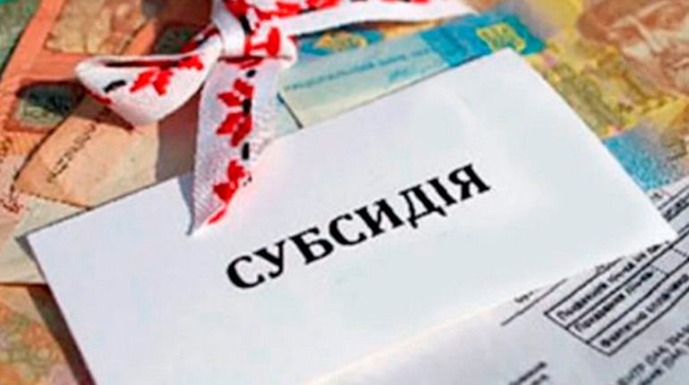 Дозволена субсидія чи ні? Українцям підказали алгоритм, як перевірити наявність субсидії