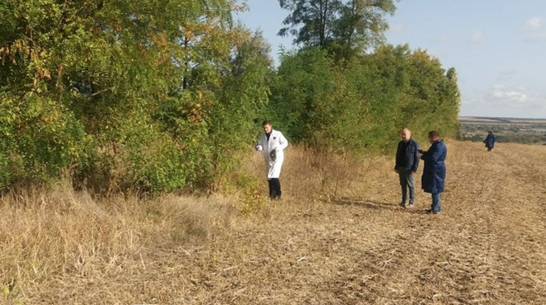 На Полтавщині у травні розкладатимуть вакцини від сказу для диких тварин