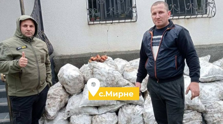 У Мирному благодійники роздали мешканцям три тонни моркви: вистачило усім, хто мав потребу