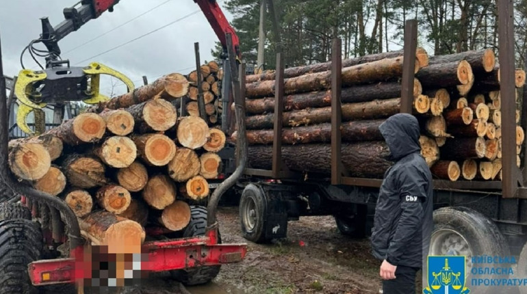 Продавав високоякісну деревину за заниженими цінами: на хабарі викрито посадовця одного з лісництв